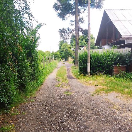 Cabana La Araucaria El Manzano  Oda fotoğraf
