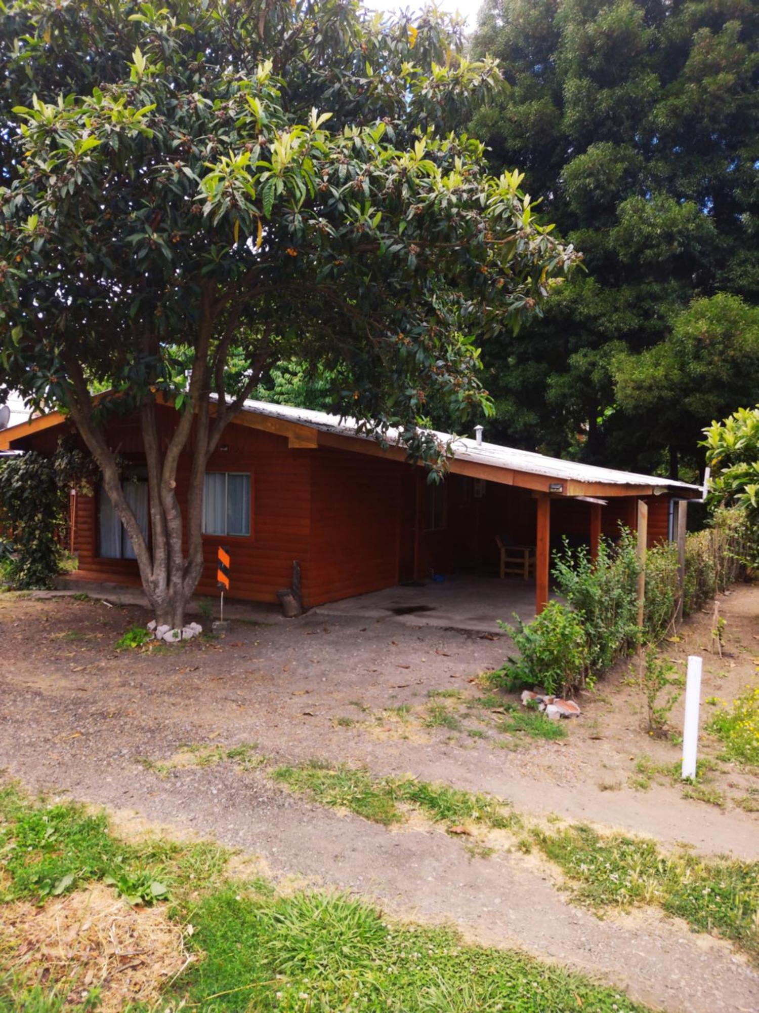 Cabana La Araucaria El Manzano  Oda fotoğraf